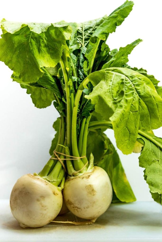 Turnip Companion Plants Best Pairings and What to Avoid